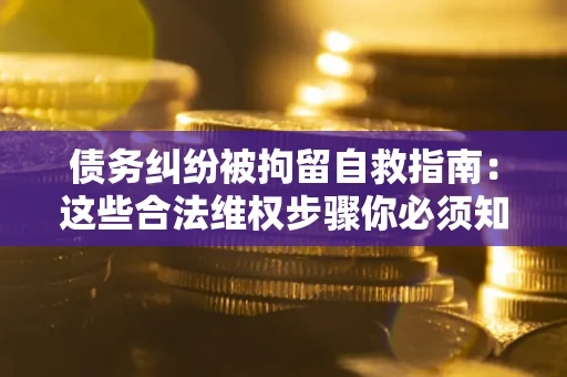 济南债务纠纷被拘留自救指南：这些合法维权步骤你必须知道！