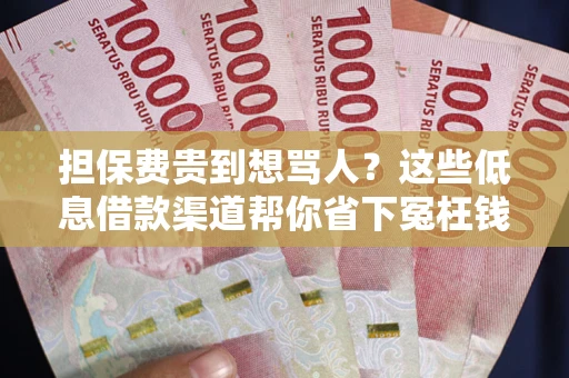 济南担保费贵到想骂人？这些低息借款渠道帮你省下冤枉钱