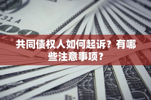 济南共同债权人如何起诉？有哪些注意事项？